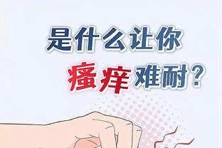 开云app体育官网